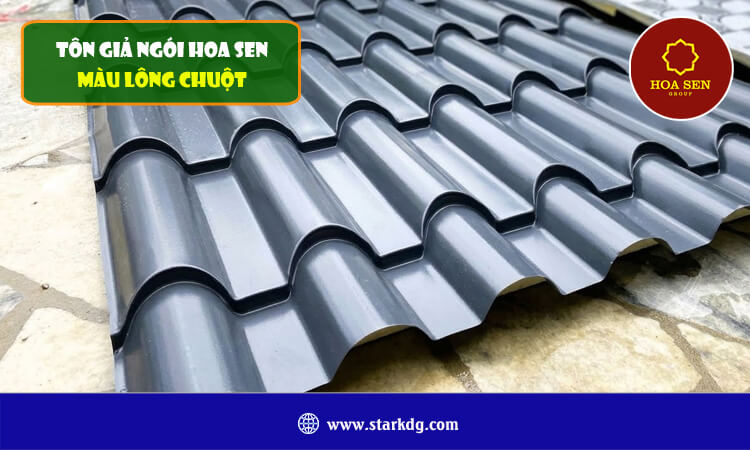 Tôn giả ngói Hoa Sen màu lông chuột