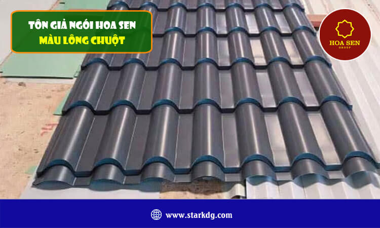 Tôn giả ngói Hoa Sen màu lông chuột