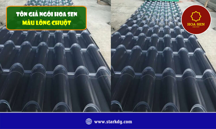 Tôn giả ngói Hoa Sen màu lông chuột