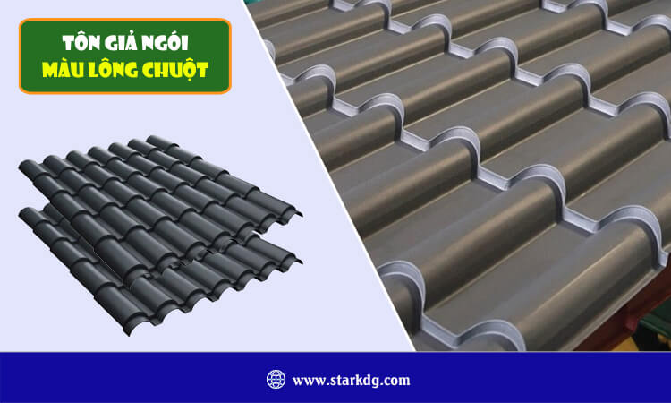 Tôn giả ngói màu lông chuột 