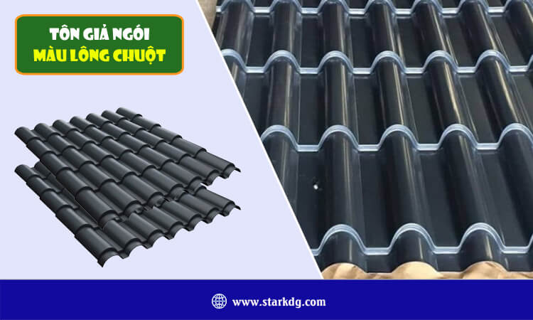 Tôn giả ngói màu lông chuột 