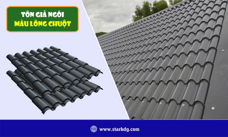 Tôn giả ngói màu lông chuột 