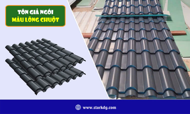 Tôn giả ngói màu lông chuột 